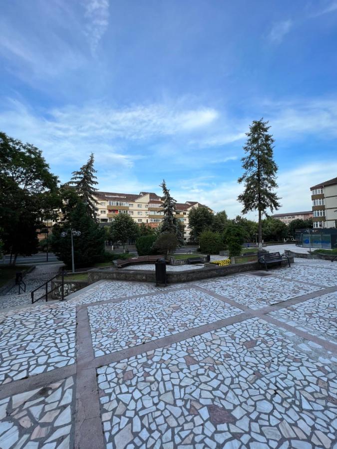 Apartament Centru Râmnicu Vâlcea Dış mekan fotoğraf